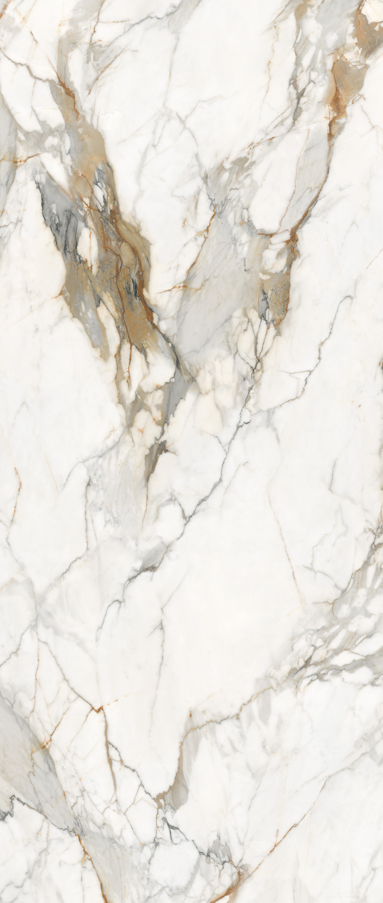 Supreme  Fish Maw  Gold