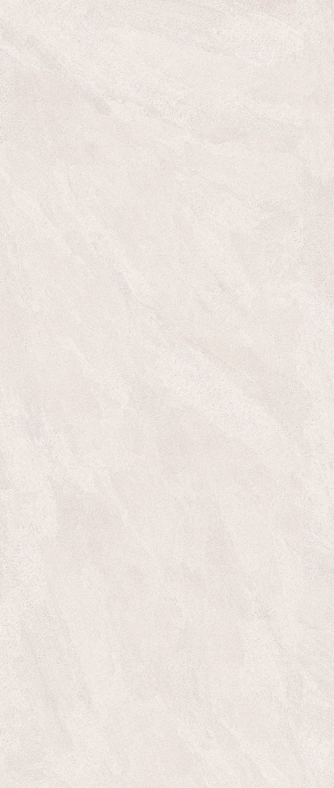 Dunhuang  Century  Rice White