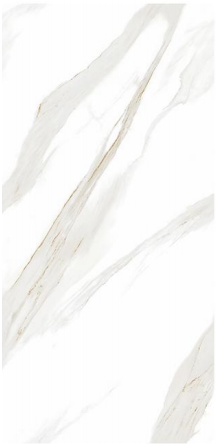 LTANLIAN FISH BELLY GOLD