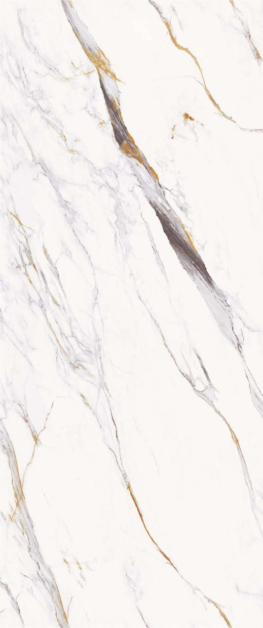 NEW CARVE GOLDEN WHITE