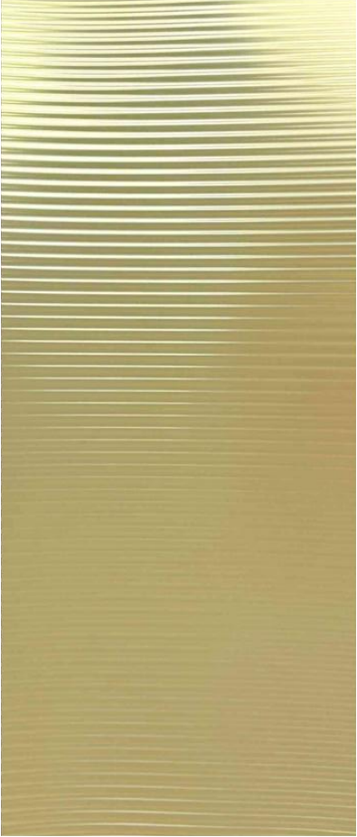 RM019P/RM020P/RM021P