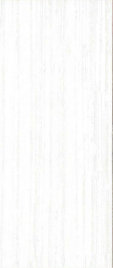 RT020N/RT021N/RT022N